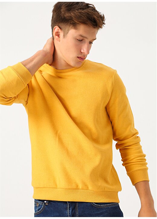 Limon Hardal Sweatshirt 2