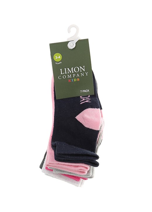 Limon Fundays Çok Renkli Kadın Soket Çorap 1