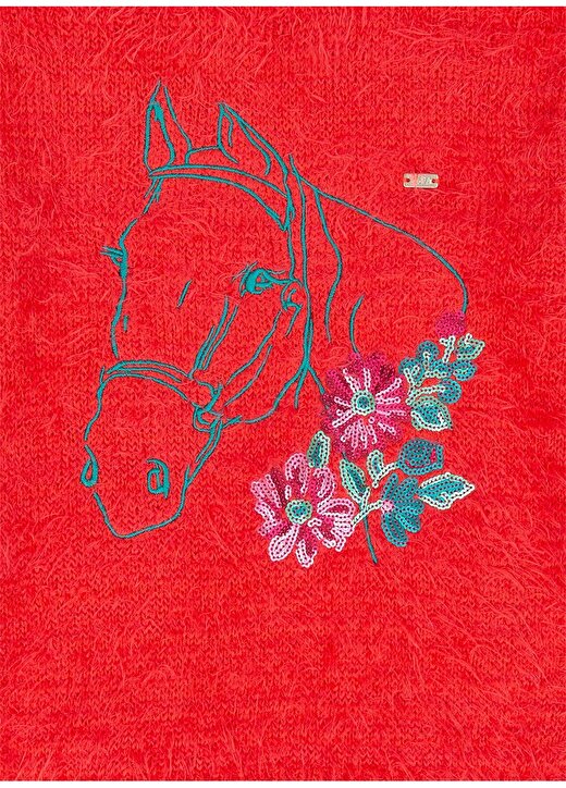 U.S. Polo Assn. Nar Çiçeği Kız Çocuk Kazak 3