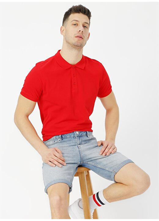Limon Kırmızı Polo T-Shirt 2