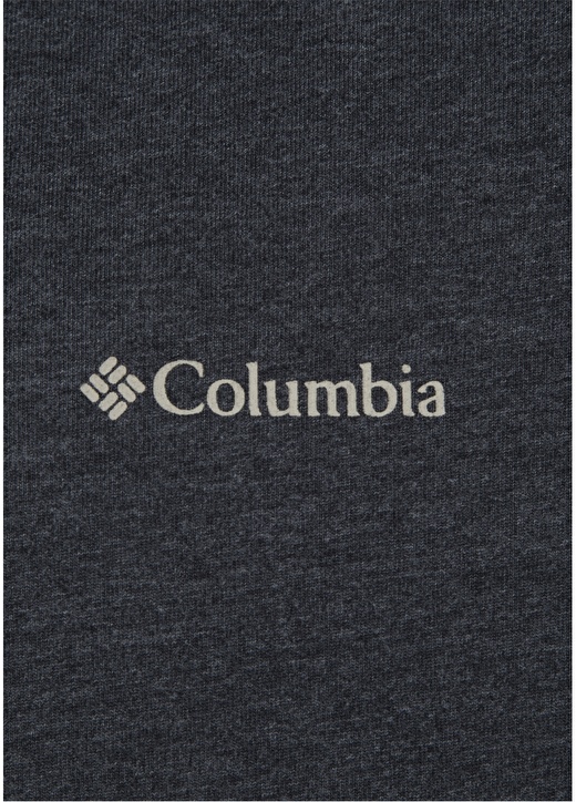 Columbia CS0002 Csc Basic Ss Erkek T-Shirt 2