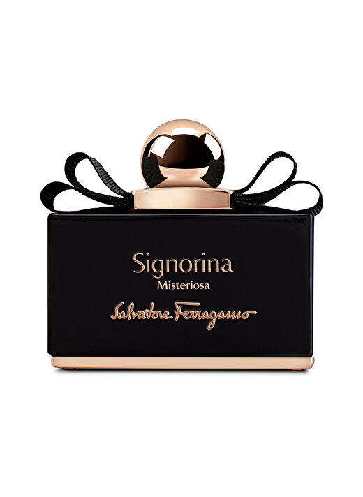 Salvatore Ferragamo Erkek Parfüm 1