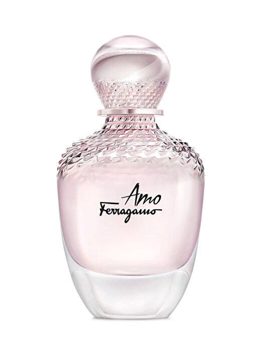 Salvatore Ferragamo Erkek Parfüm 1