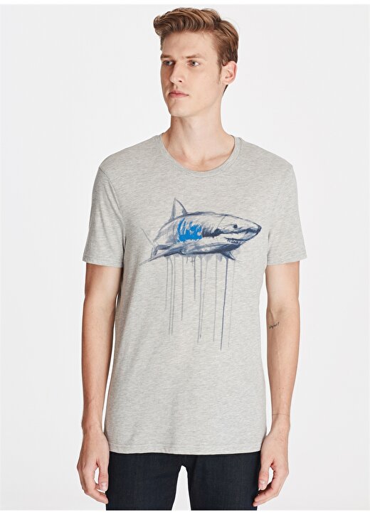 Mavi Köpekbalığı Baskılı Açık Gri T-Shirt 2
