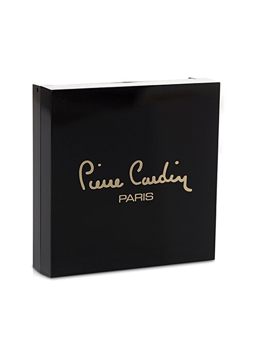 Pierre Cardin Porcelain Edition Blush On - Rosy Plum Allık 2
