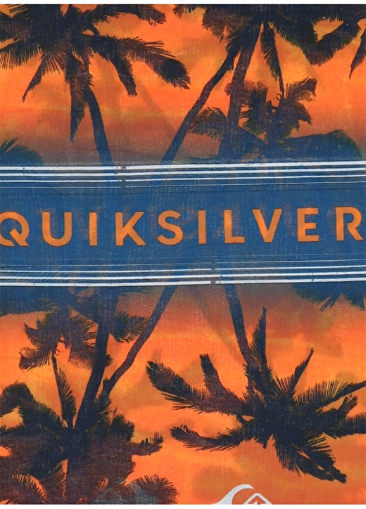 Quiksilver Erkek Çok Renkli Bandana 2