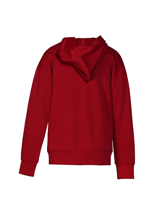 Hummel NEPHELE HOODIE Kırmızı Erkek Sweatshirt 920912-9966 3