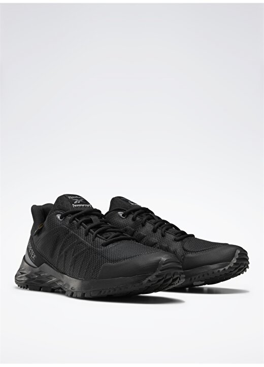 Reebok Siyah - Gri Kadın Outdoor Ayakkabısı EF4179ASTRORIDE TRAIL GTX 2.0 2