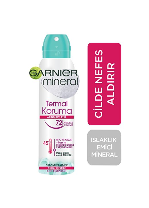 Garnier Deodorant 1