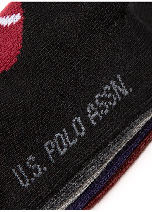 U.S. Polo Assn. Bordo Erkek Çocuk Paketli Çorap EC01SK20-5-VR014 3