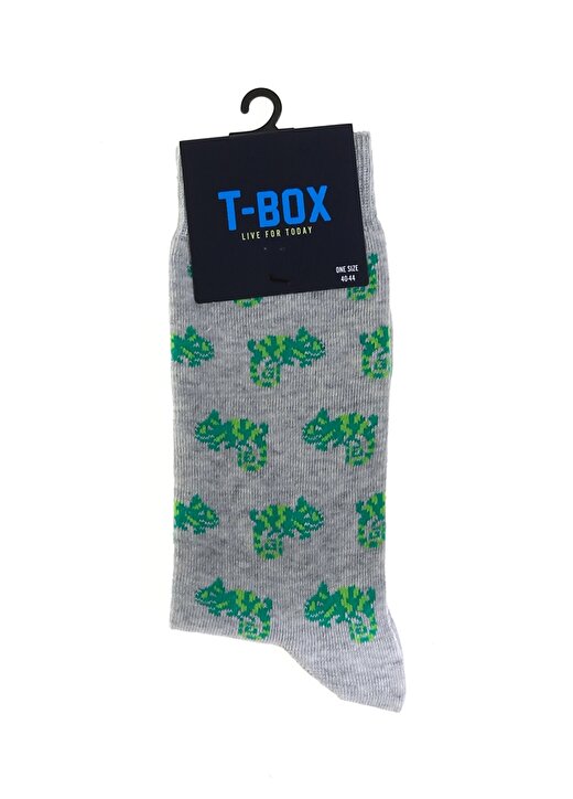 T-Box Bukalemun Gri Erkek Çorap 1