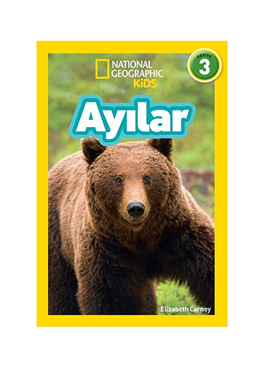 Ayılar 1