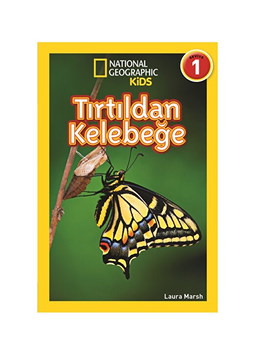 Beta Kids Kitap Tırtıldan Kelebeğe 1