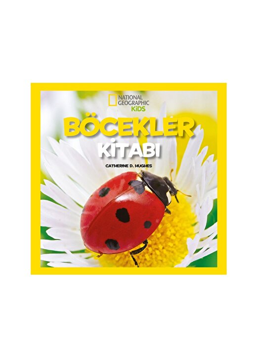 Beta Kids Kitap İlk Böcekler Kitabım 1