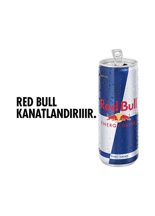 Red Bull 4X250 Ml Enerji İçeceği 2
