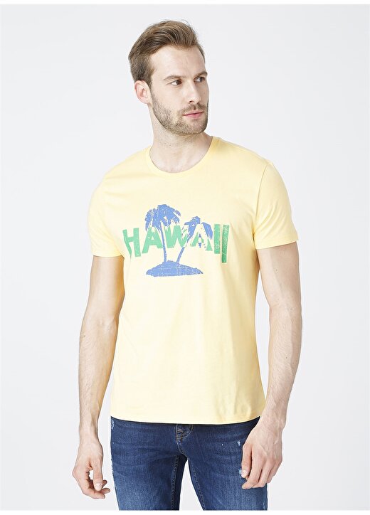 Limon Bisiklet Yaka Regular Fit Erkek T-Shirt 2