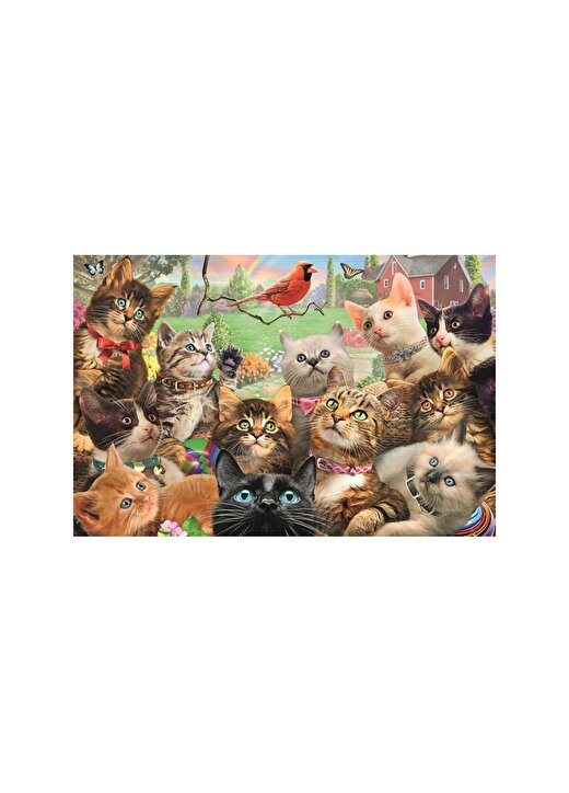 Art Puzzle Kutu Oyunu KITTENS - 260 PARÇA 2