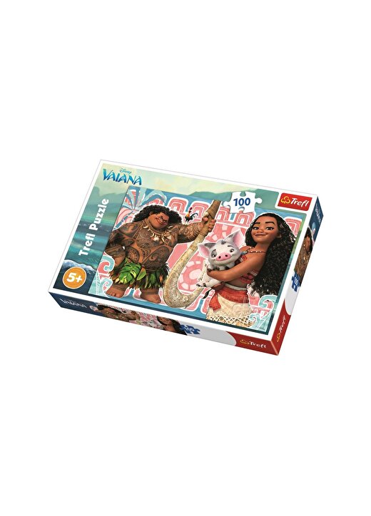 Art Puzzle Kutu Oyunu DISNEY, MOANA AND FRIENDS - 100 PAR 1