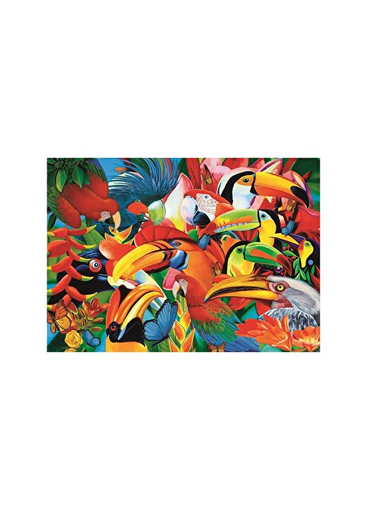 Art Puzzle Kutu Oyunu COLOURFUL BIRDS - 500 PARÇA 2