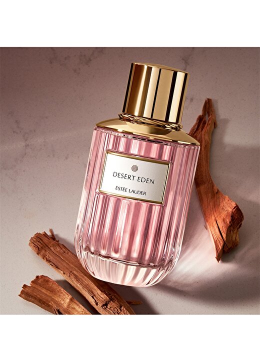 Estee Lauder Luxury Fragrance – Desert Eden Edp 100 Ml 2