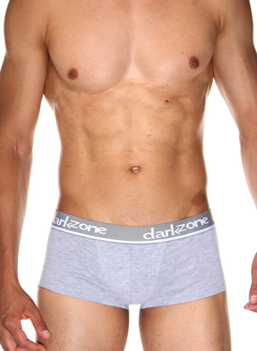 Darkzone DZN3303     Gri Erkek Boxer 1