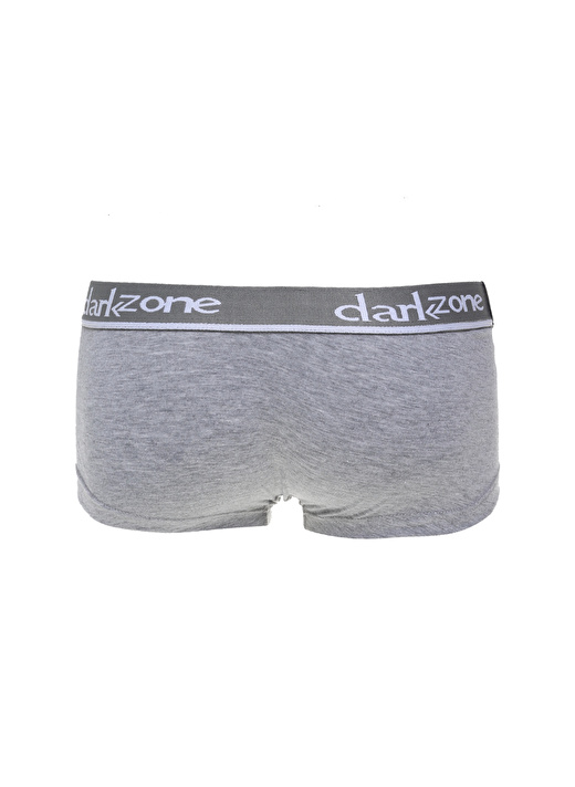 Darkzone DZN3303     Gri Erkek Boxer 2