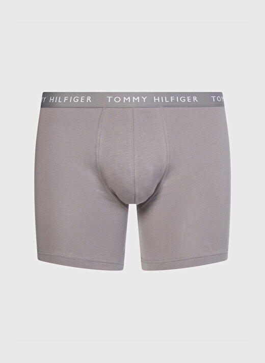 Tommy Hilfiger Altın Erkek Boxer UM0UM022040TG002 1