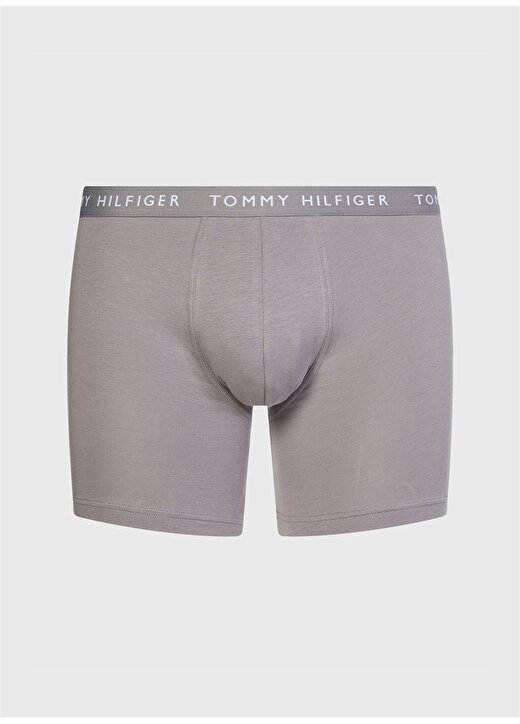 Tommy Hilfiger Altın Erkek Boxer UM0UM022040TG002 1