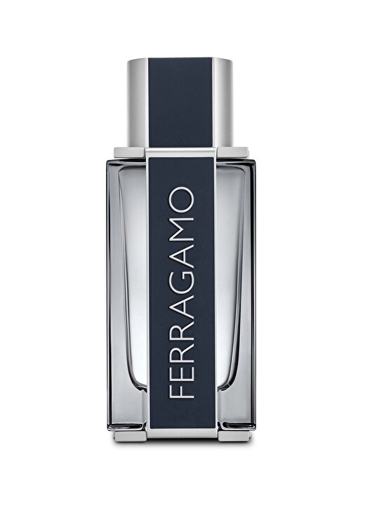 Salvatore Ferragamo Edt 100 Ml Erkek Parfüm 1