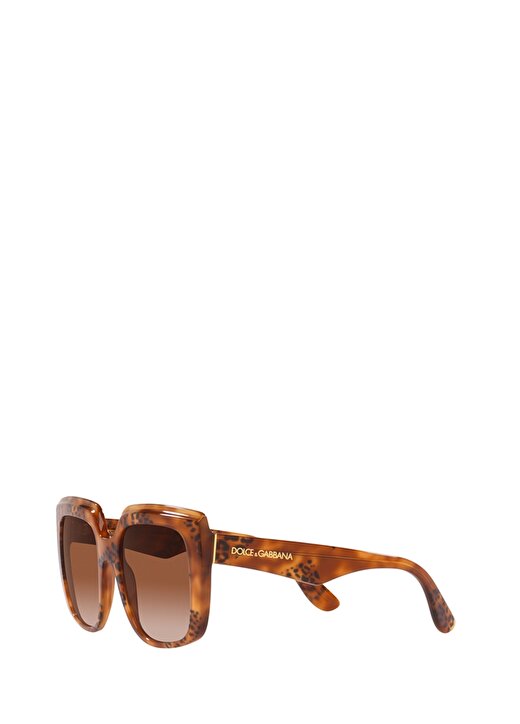 Dolce&Gabbana Kadın Güneş Gözlüğü 0DG441454338013 3