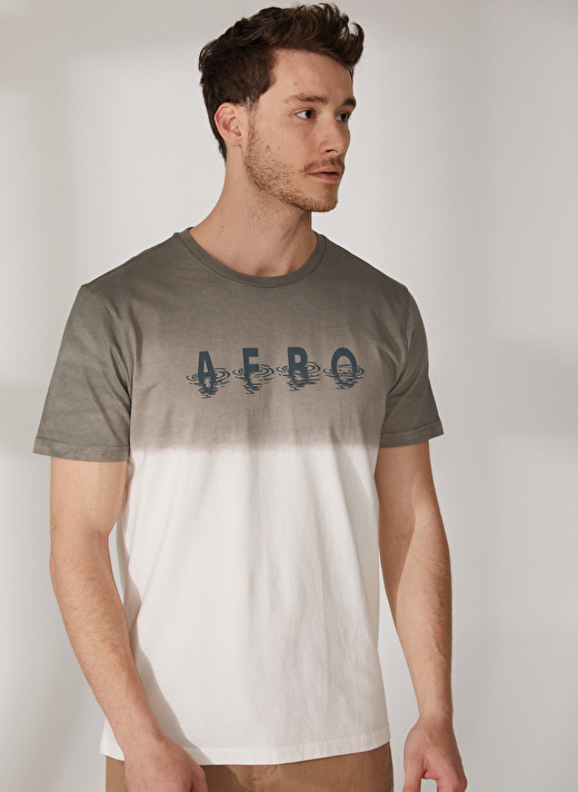 Aeropostale Bisiklet Yaka Baskılı Gri Erkek T-Shirt E-ECHO 2