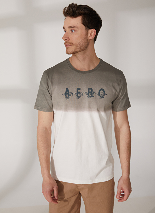 Aeropostale Bisiklet Yaka Baskılı Gri Erkek T-Shirt E-ECHO 3