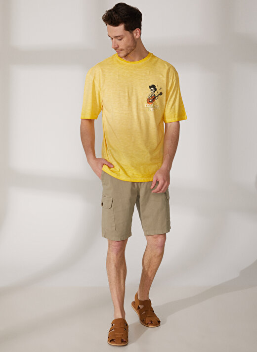 Limon Bisiklet Yaka Yağ Yıkama Sarı Erkek T-Shirt FEEL 1