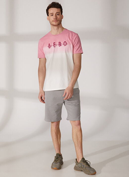 Aeropostale Bisiklet Yaka Baskılı Pembe Erkek T-Shirt E-ECHO 1