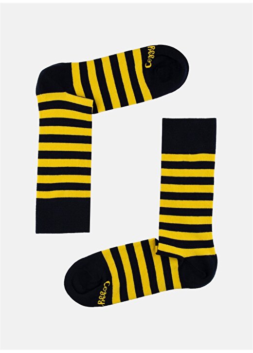 Cozzy Socks Şerit Desenli 4 Renk Kutulu Erkek Çorap CZY1011 4