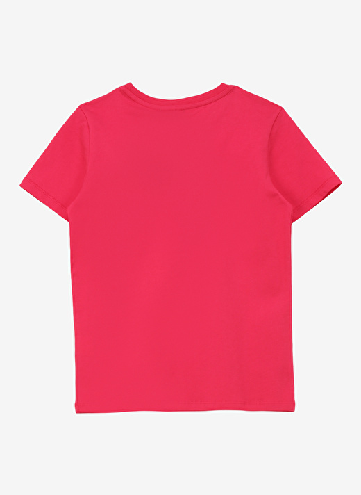 Discovery Expedition Pembe Kız Çocuk Bisiklet Yaka Kısa Kollu Baskılı T-Shirt ROGERS GIRL   2