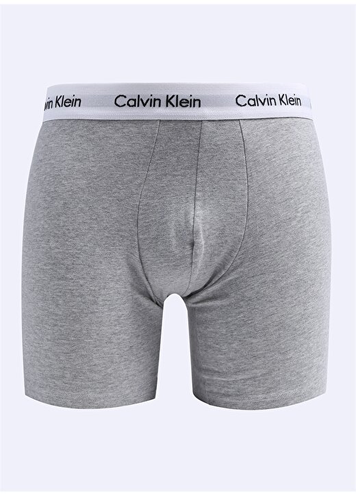 Calvin Klein Çok Renkli Erkek Slip 000NB1770ACB4 1