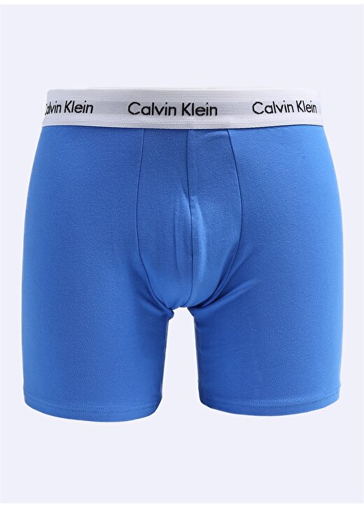 Calvin Klein Çok Renkli Erkek Slip 000NB1770ACB4 2