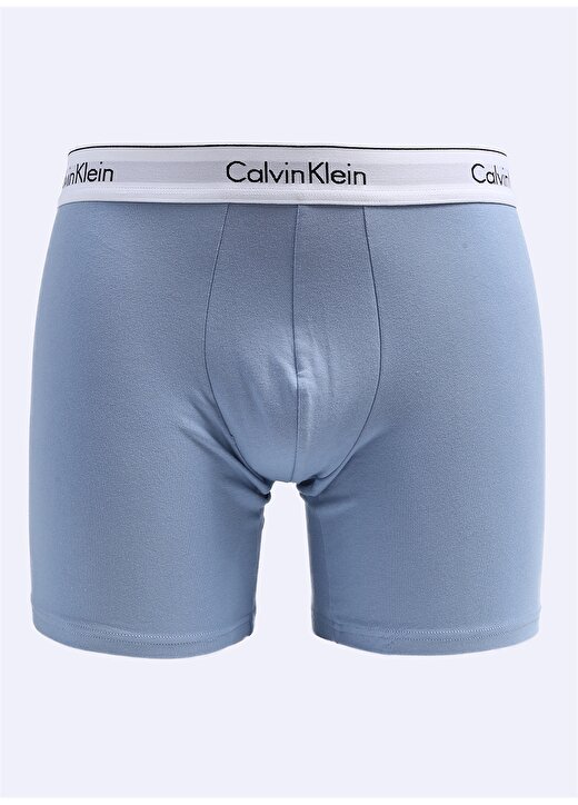 Calvin Klein Çok Renkli Erkek Slip 000NB2381ACD7 2