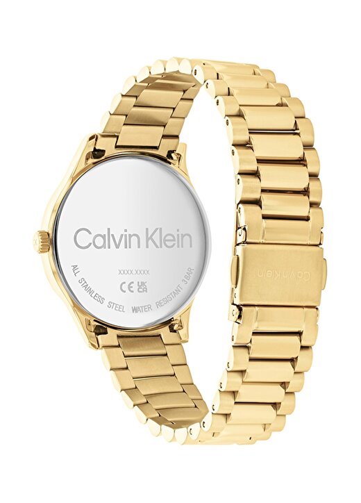 Calvin Klein Kadın Kol Saati CK25200043 3