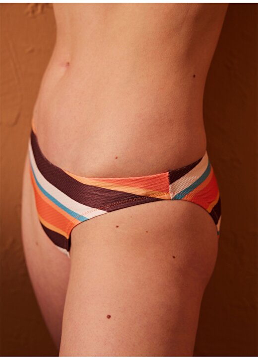 Penti Çok Renkli Kadın Barisa Slip Bikini Altı PLGXOZXF23IY 2