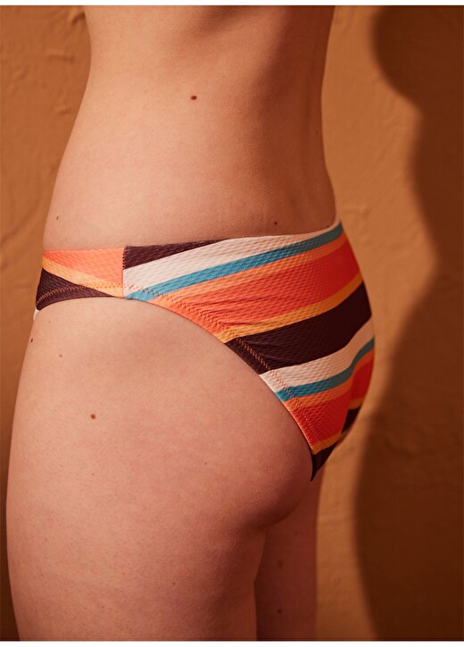 Penti Çok Renkli Kadın Barisa Slip Bikini Altı PLGXOZXF23IY 3