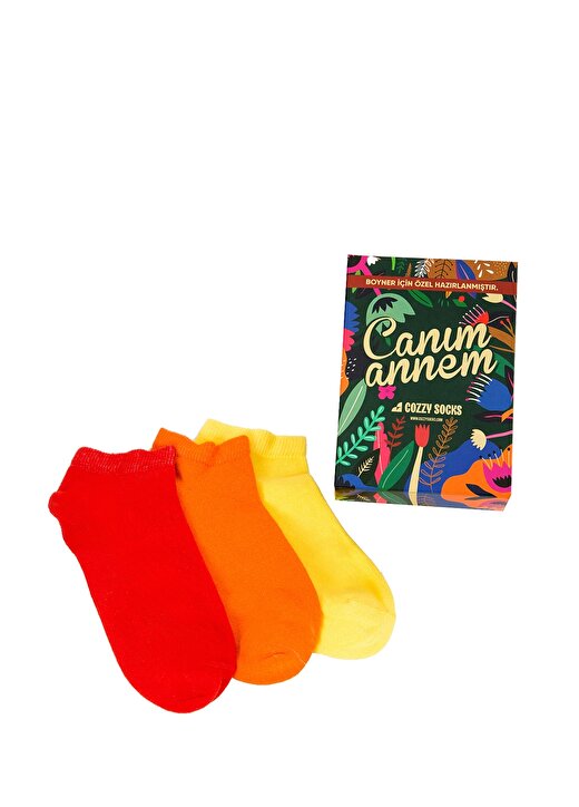 Cozzy Socks Çok Renkli Kadın Çorap COZZY-4361 2