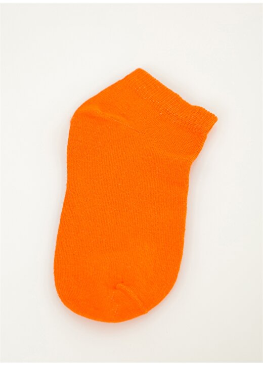 Cozzy Socks Çok Renkli Kadın Çorap COZZY-4361 4