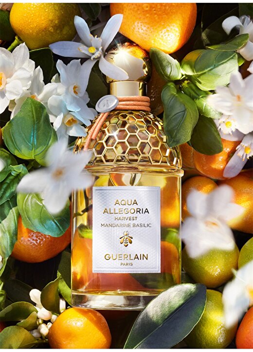 Guerlain Aqua Allegoria Harvest Mandarine Basilic EDT 4.2Oz/125Ml Limited Parfüm 2