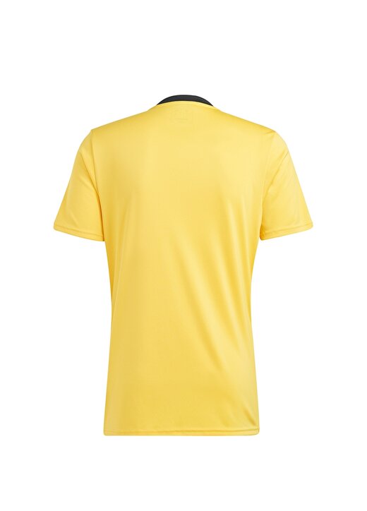 Adidas T-Shirt 2