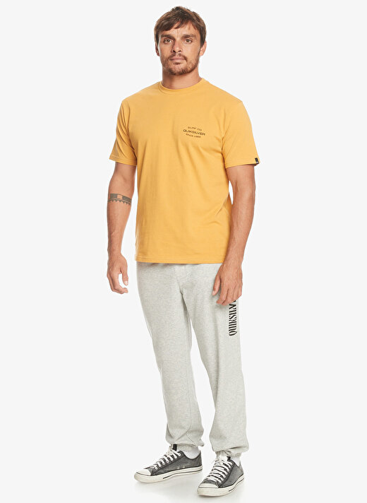 Quiksilver Gri Erkek Regular Fit Eşofman Altı EQYFB03337 Graphic Pant   3