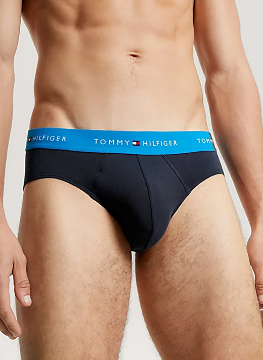 Tommy Hilfiger Gri Erkek Slip UM0UM029040UE 3