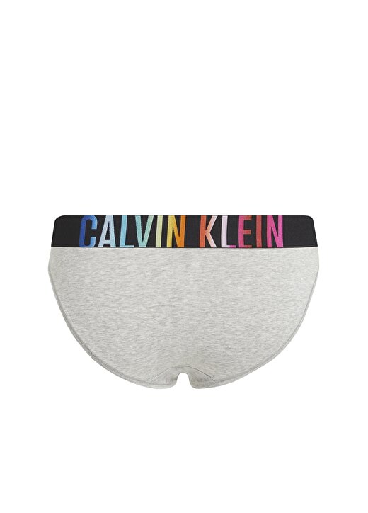 Calvin Klein Gri - Çok Renkli Kadın Bikini Külot 000QF7835E 2
