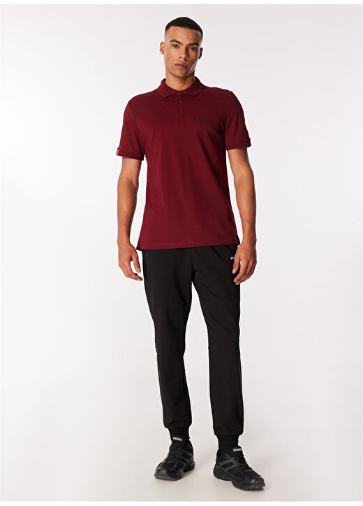Discovery Expedition Bordo Erkek Relaxed Fit Polo T-Shirt D4SM-TST3248 2